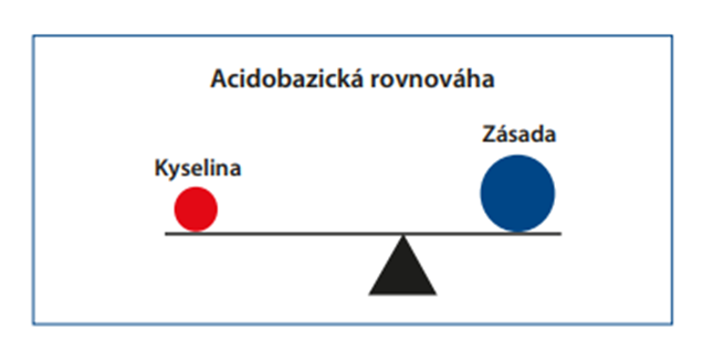 Snímek obrazovky 2025-02-01 180630